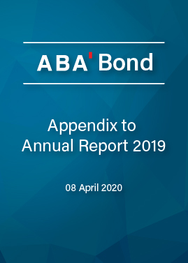 Appendix to Annual Report 2019