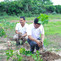 aba abc tree-plan dt-3