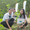 aba abc tree-plan kh-4 aba abc tree-plan kh-4
