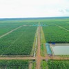 ABA​ Bank​ becomes​ key​ investor​ in​ Cambodia's​ first-ever​ agriculture​ bond​