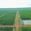 aba dpa thumbnail kh