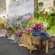 National Orchid Forum 2 KH
