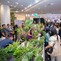 National Orchid Forum 5 KH