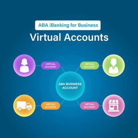 Virtual Accounts EN